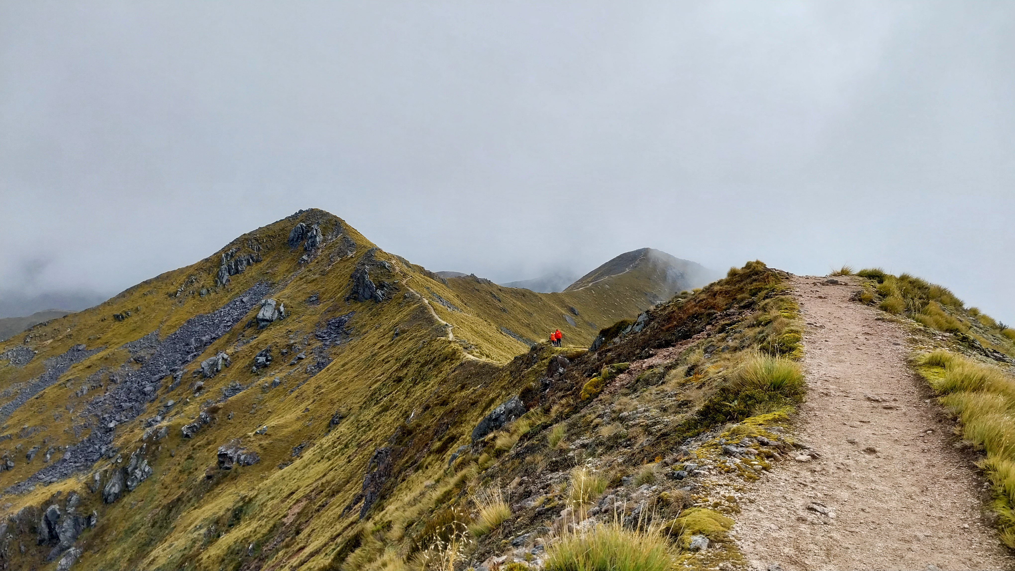 Hiking the Kepler Track
