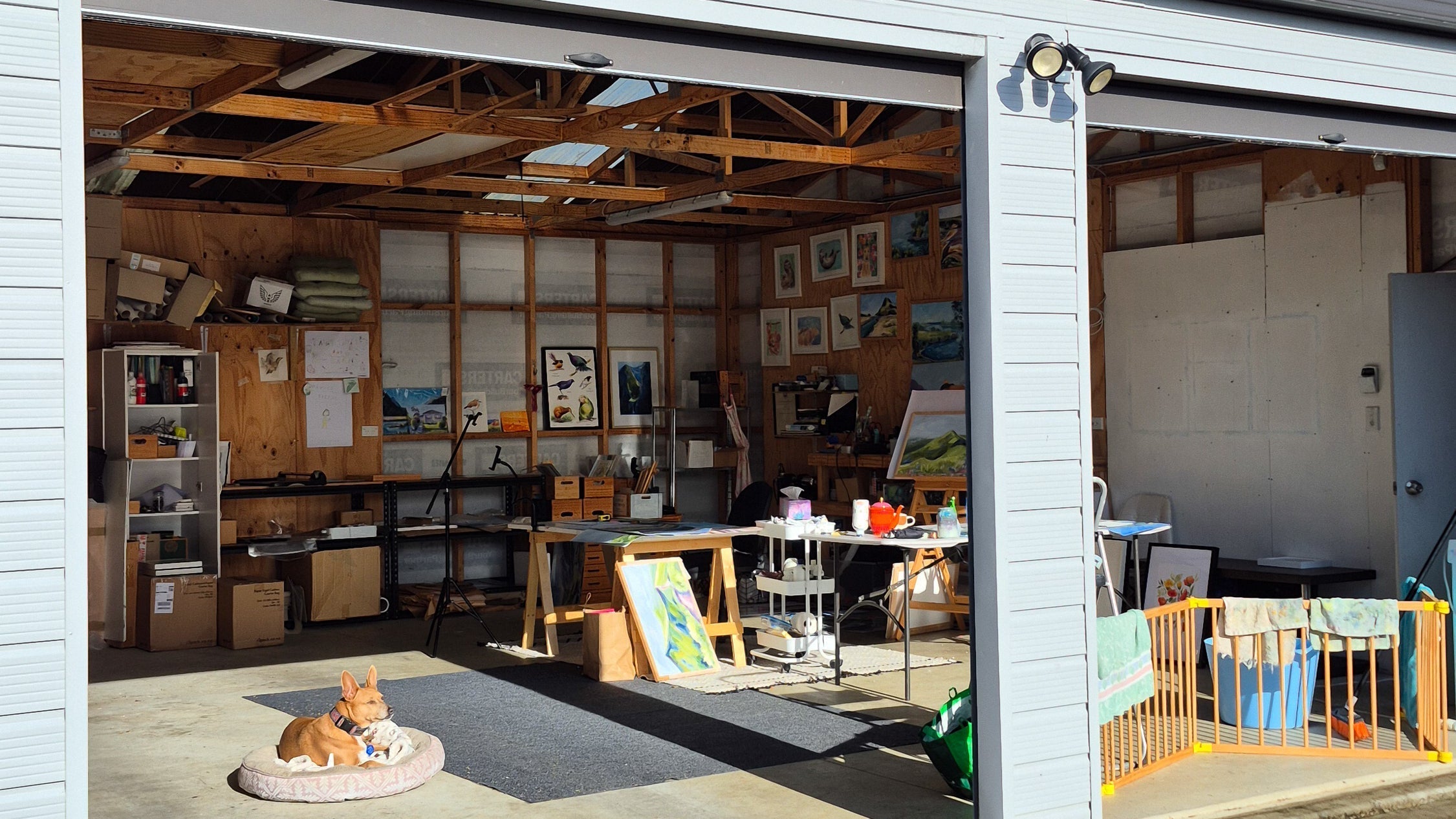 The Great Studio Sale of 2025