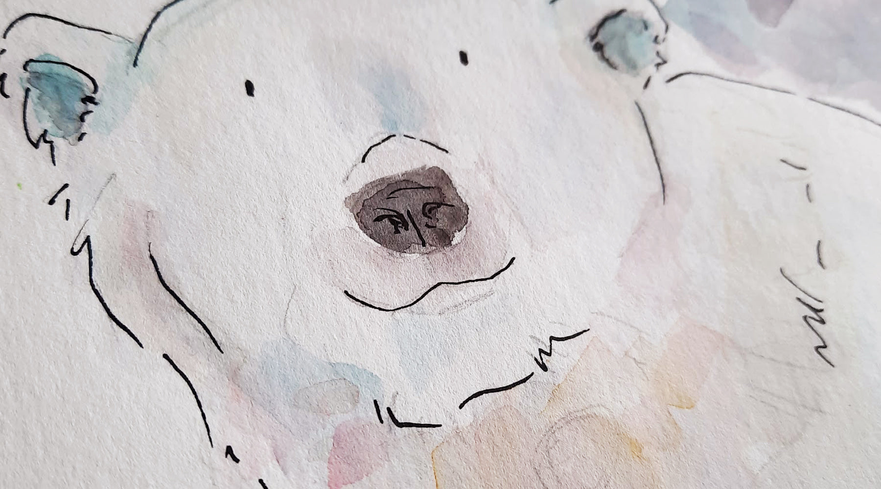 How my illustrations are created