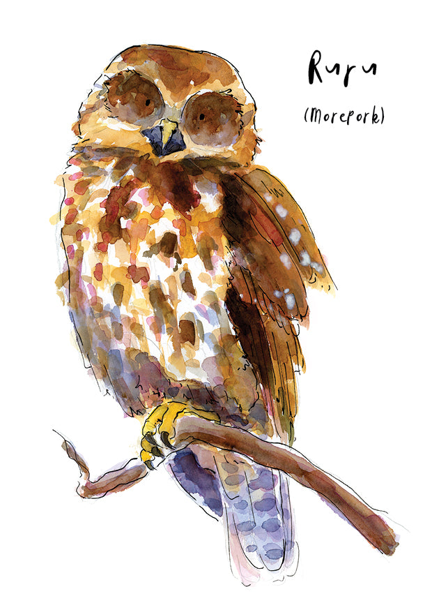 Ruru (Morepork) - postcard