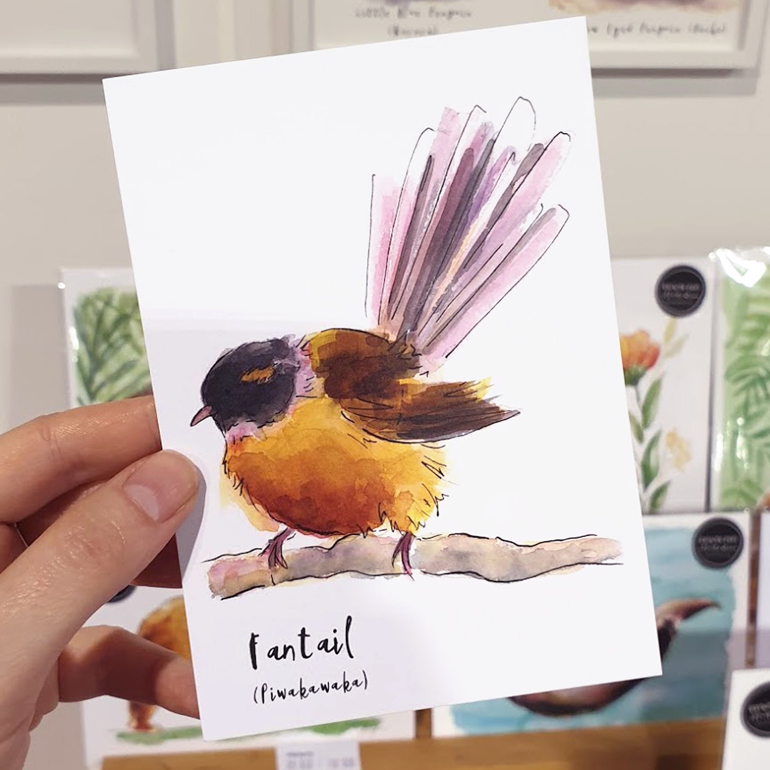 Fantail (Pīwakawaka) - postcard - Raewyn Pope Illustration