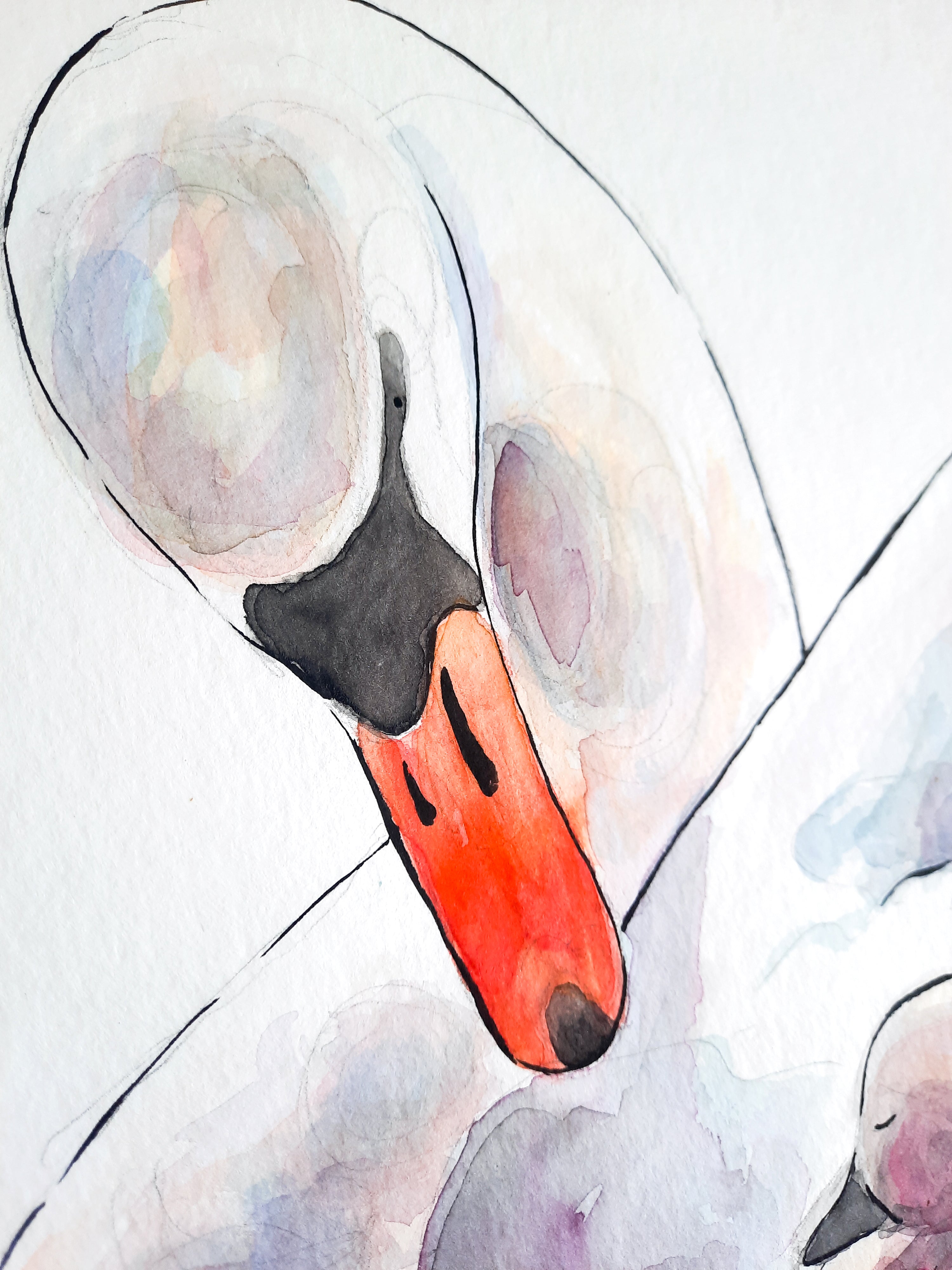 Swan & Cygnet Original Painting