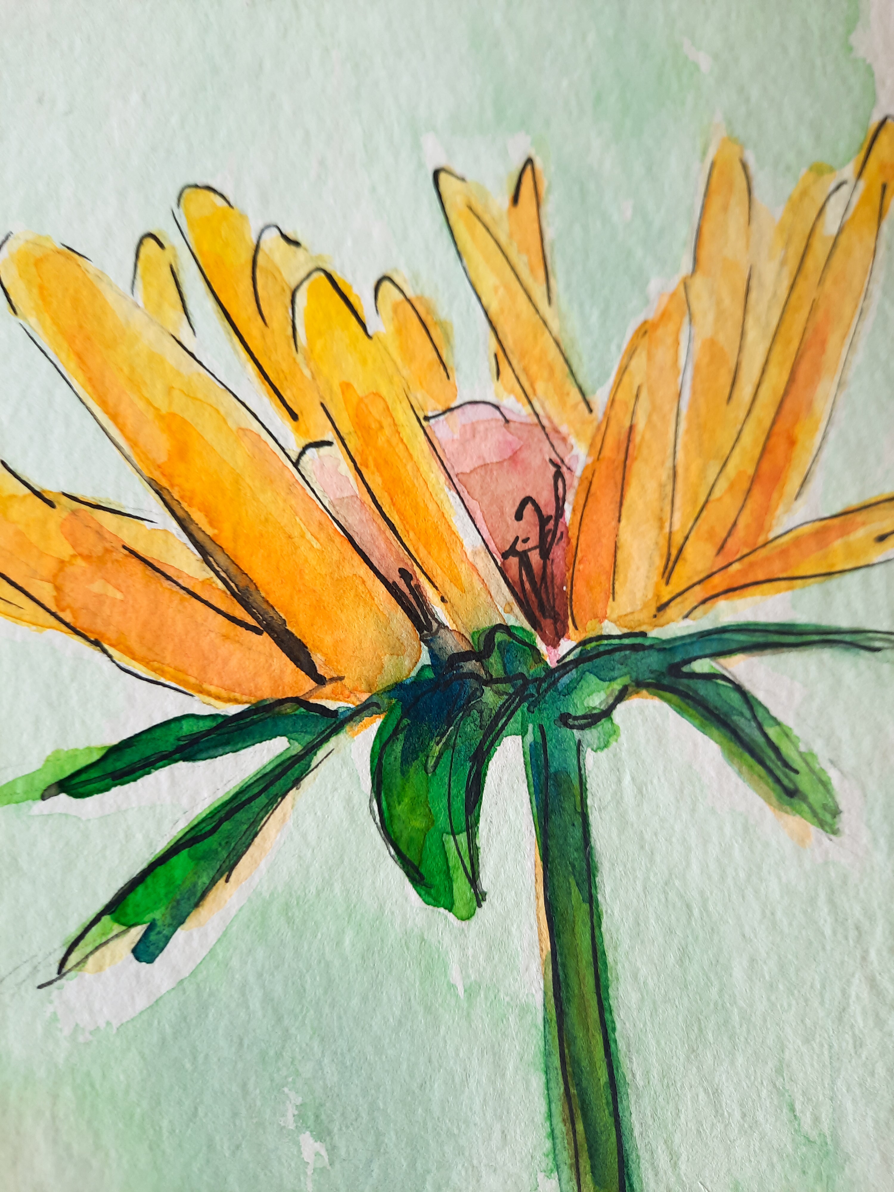 Flower Studies (set of 4) Original Paintings