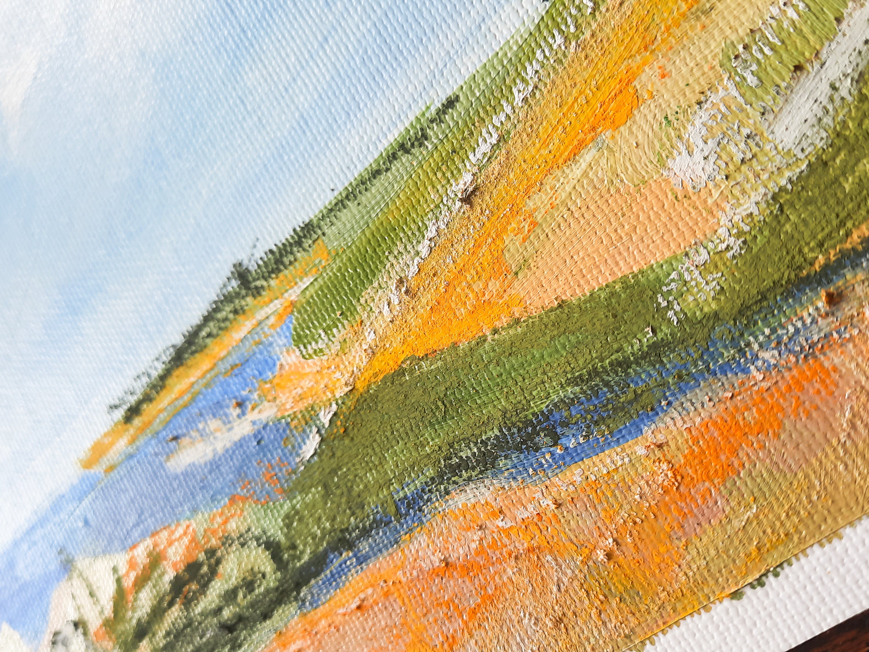 Waipapa Point Study