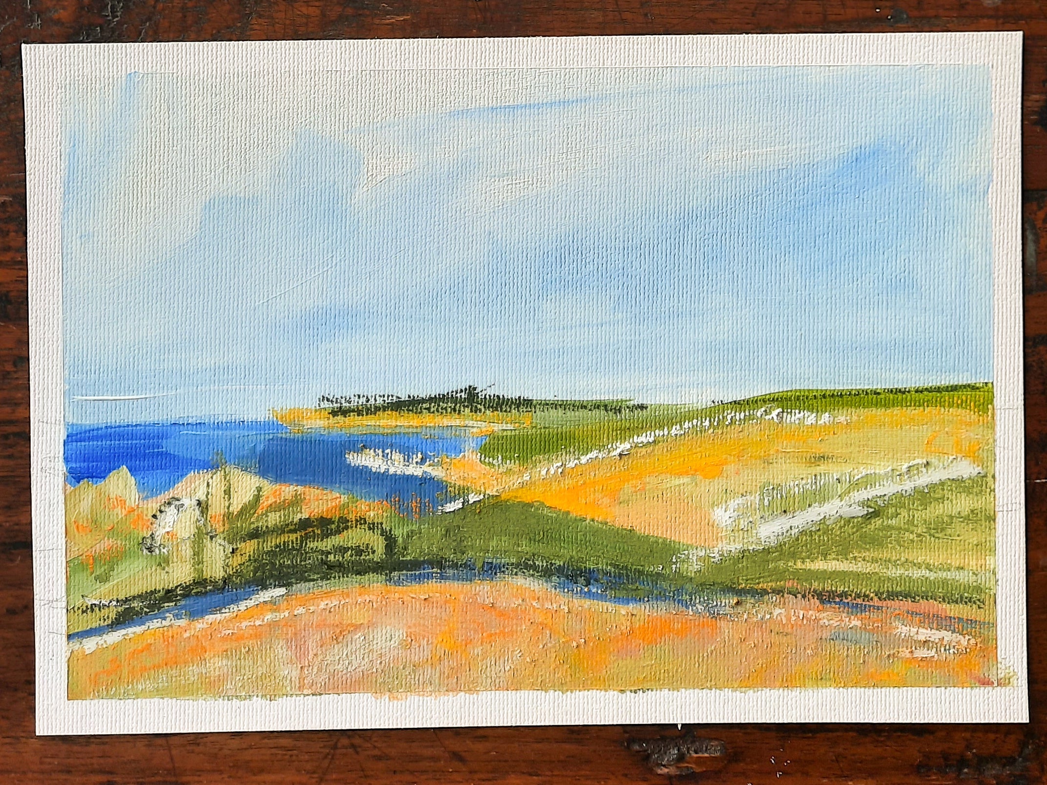 Waipapa Point Study