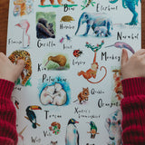 ABC of Animals - Raewyn Pope Illustration