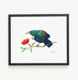 Tūī - Raewyn Pope Illustration