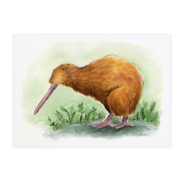 Kiwi - Raewyn Pope Illustration