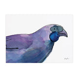 Kōkako - Raewyn Pope Illustration