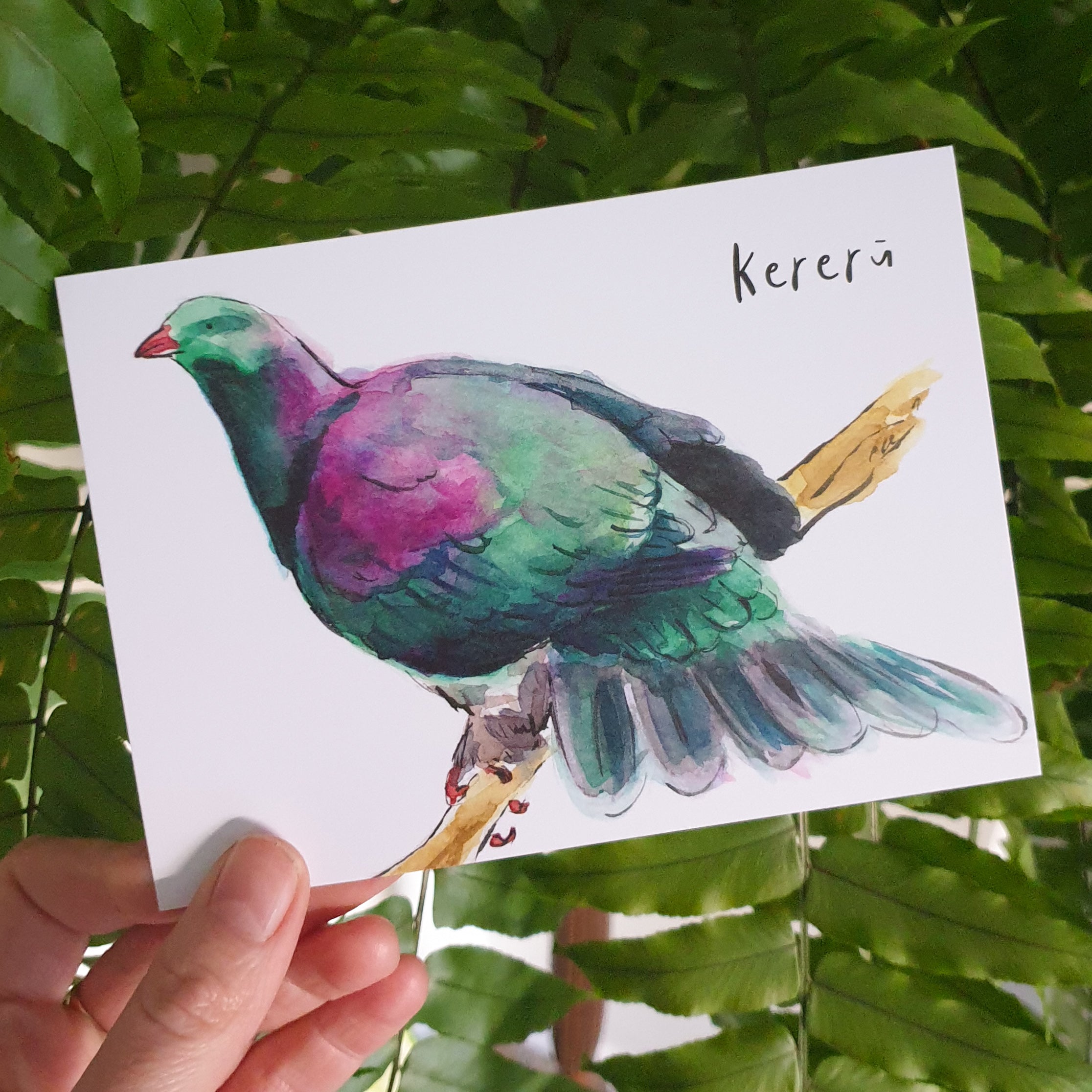 Kererū - postcard - Raewyn Pope Illustration