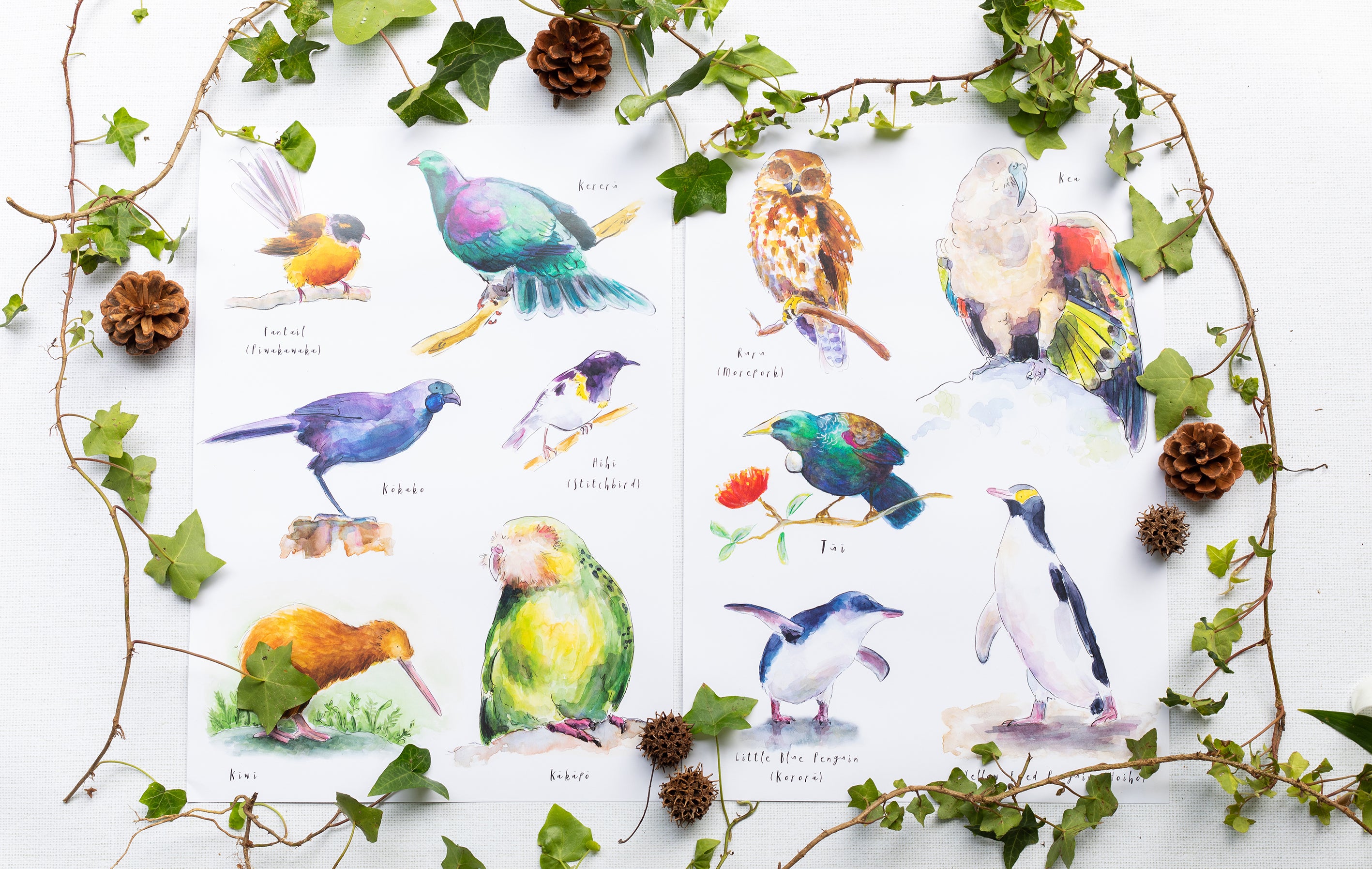 Birds of New Zealand #1