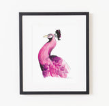 Pauline the Peacock - Raewyn Pope Illustration