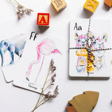 ABC Flash Cards - Raewyn Pope Illustration