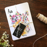 ABC Flash Cards - Raewyn Pope Illustration