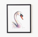 Sylvia the Swan - Raewyn Pope Illustration