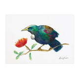 Tūī - Raewyn Pope Illustration