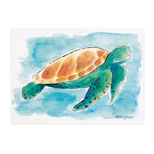 Walter the Turtle - Raewyn Pope Illustration