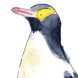 Yellow Eyed Penguin (Hoiho) - Raewyn Pope Illustration