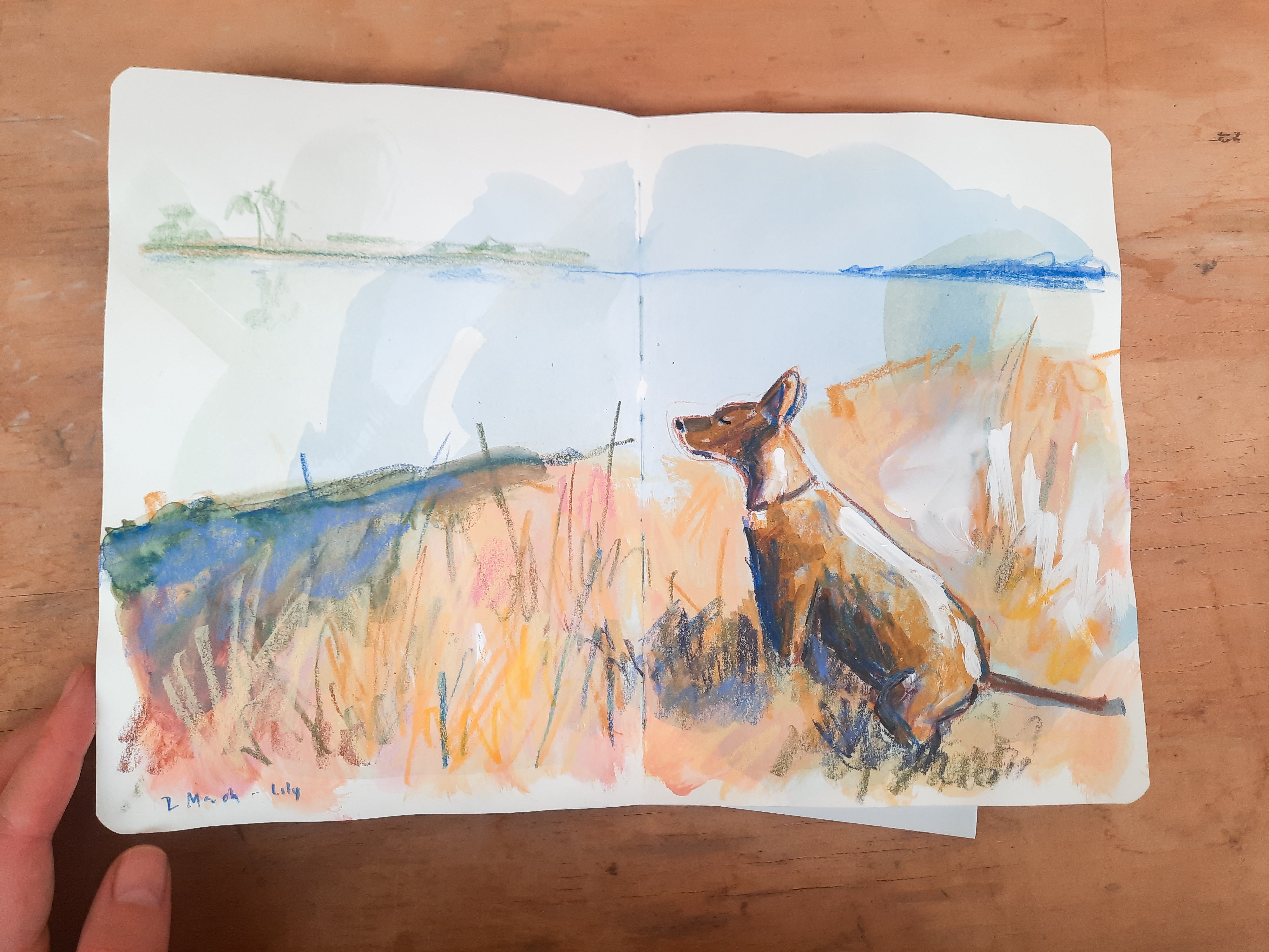 February in sketches