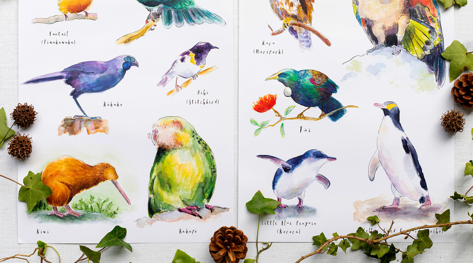 Birds of New Zealand - inspiration behind the collection
