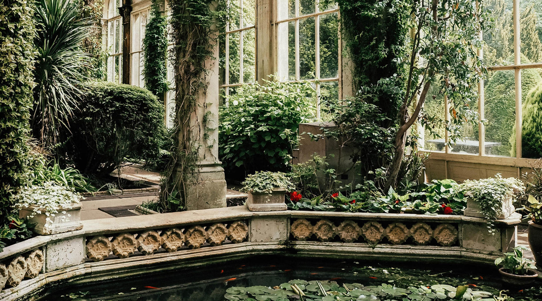 Greenhouse dreaming