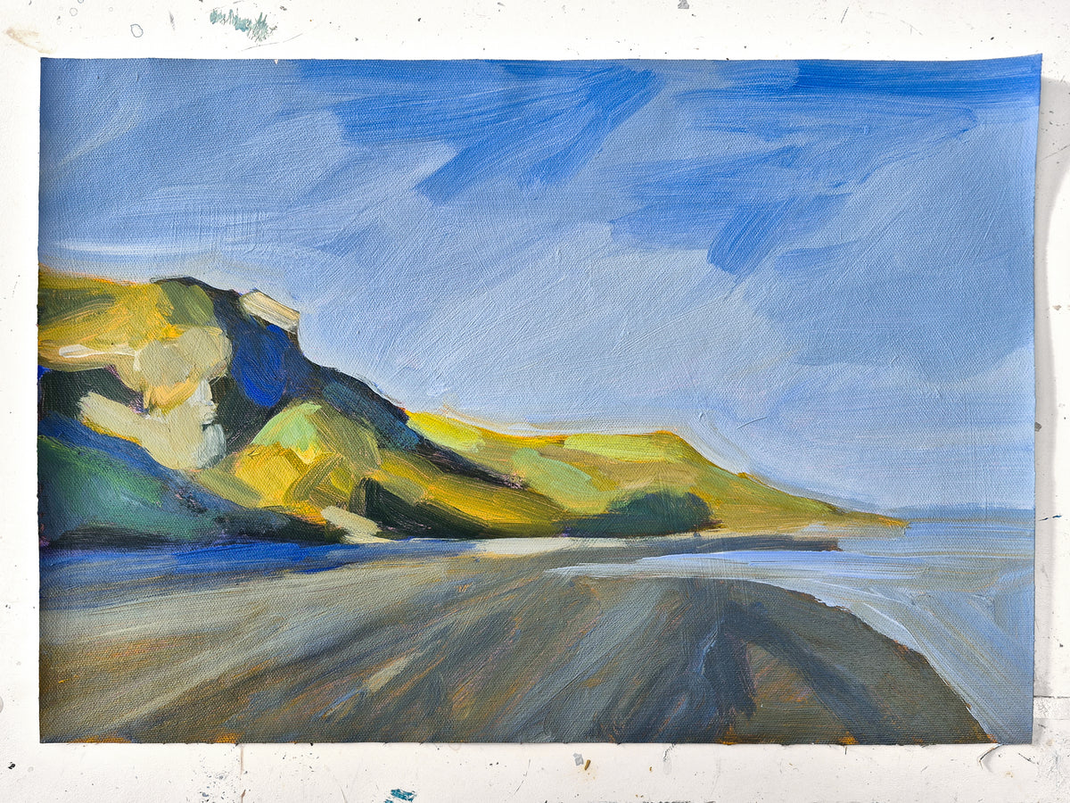 Karioitahi study