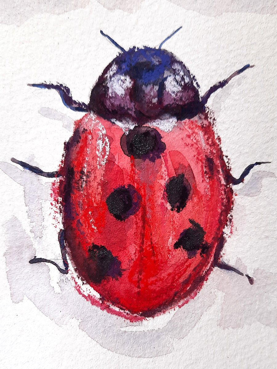 A Loveliness of Ladybirds // Original Painting