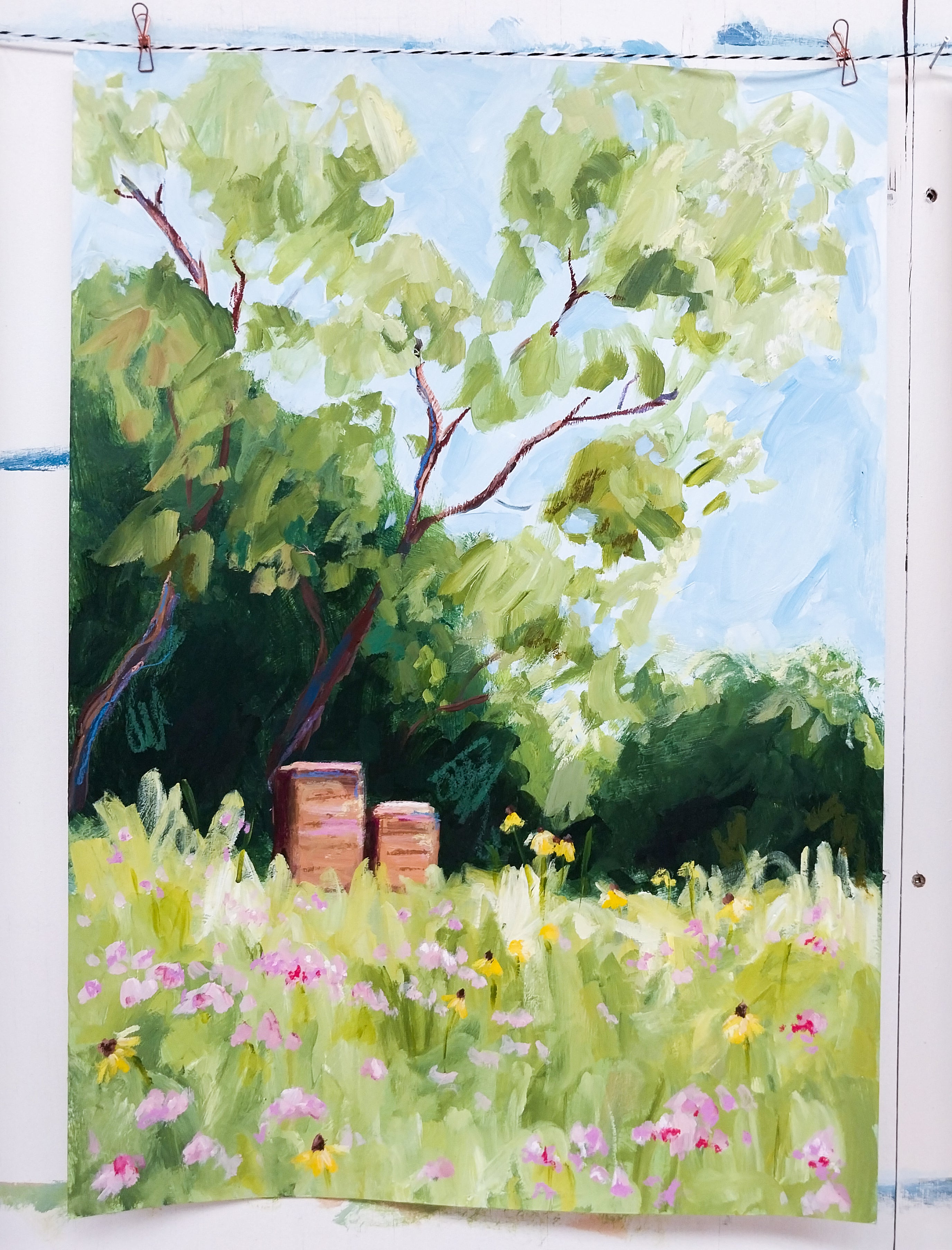 Bee Boxes