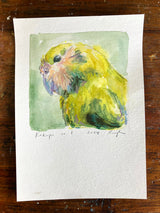 Kākāpō no.1 // Original Painting