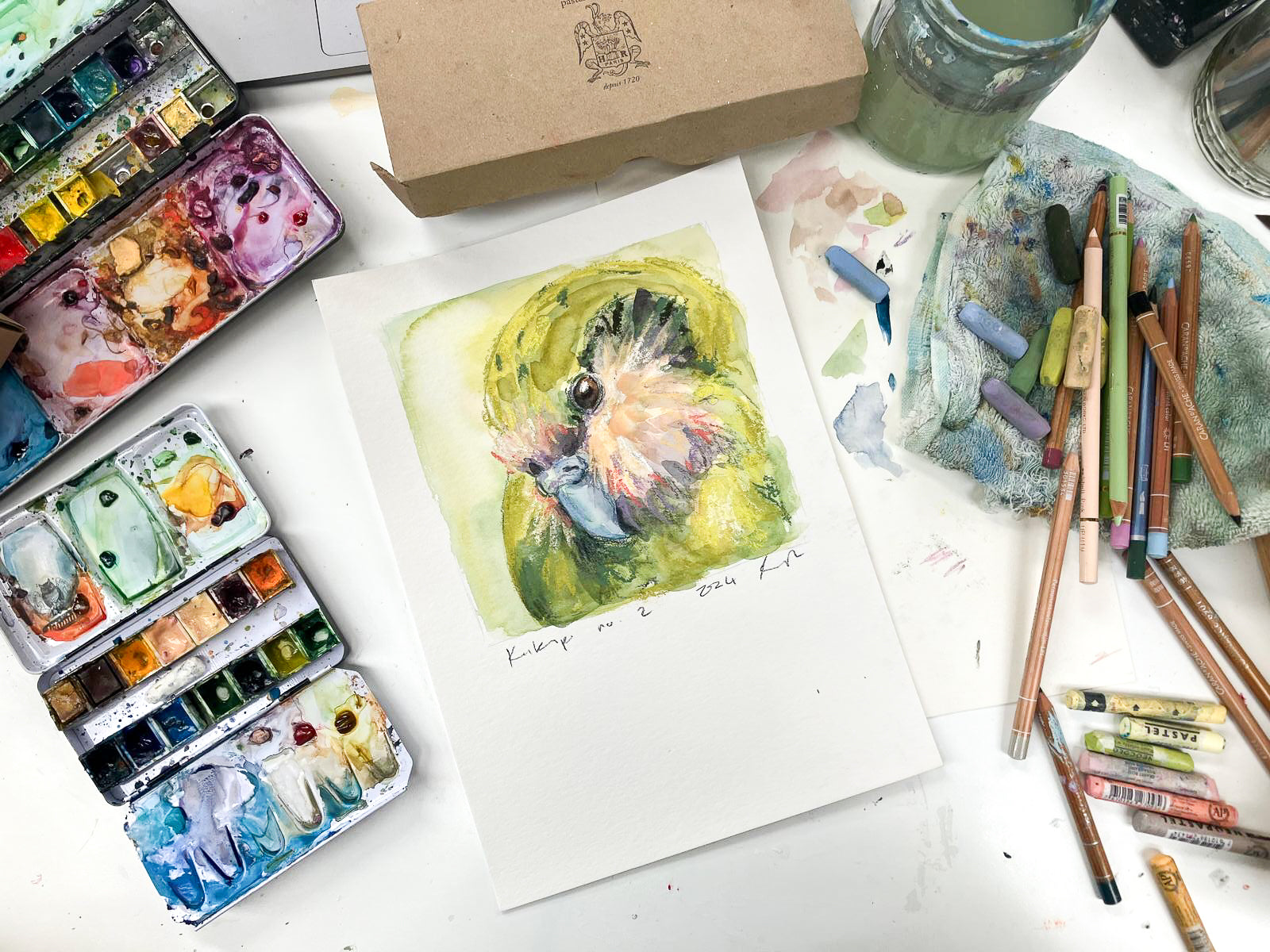 Kākāpō no.2 // Original Painting