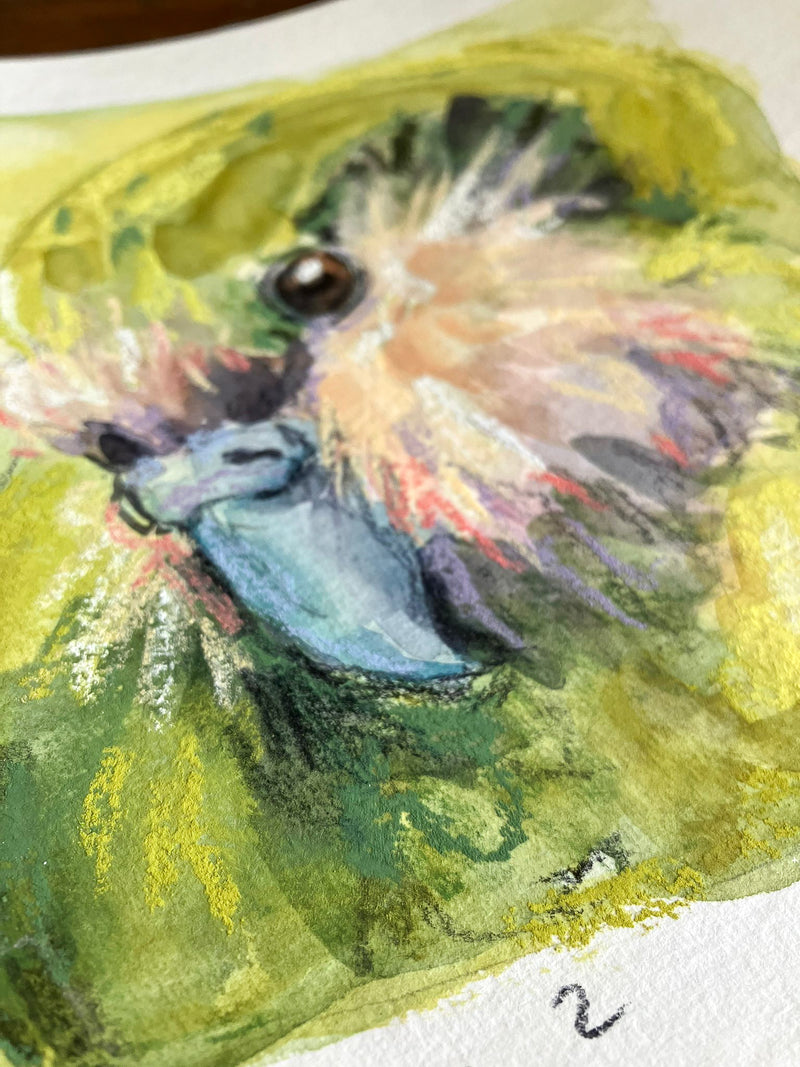 Kākāpō no.2 // Original Painting