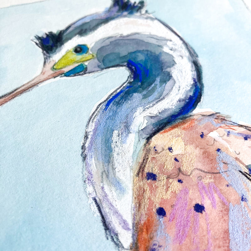 Kawau Tikitiki Spotted Shag // Original Painting