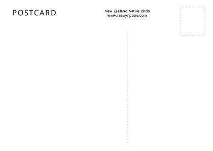 Kea - postcard