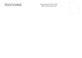 Hihi (Stitchbird) - postcard