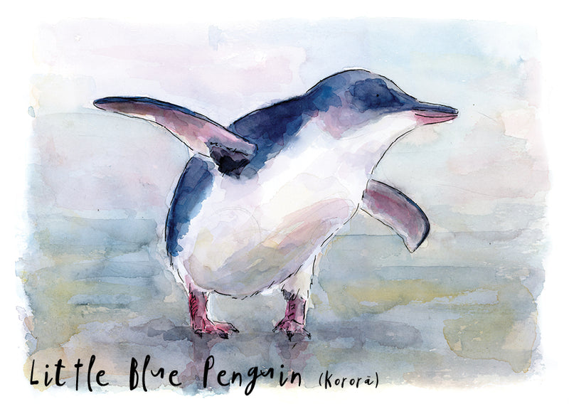 Little Blue Penguin (Kororā) - postcard