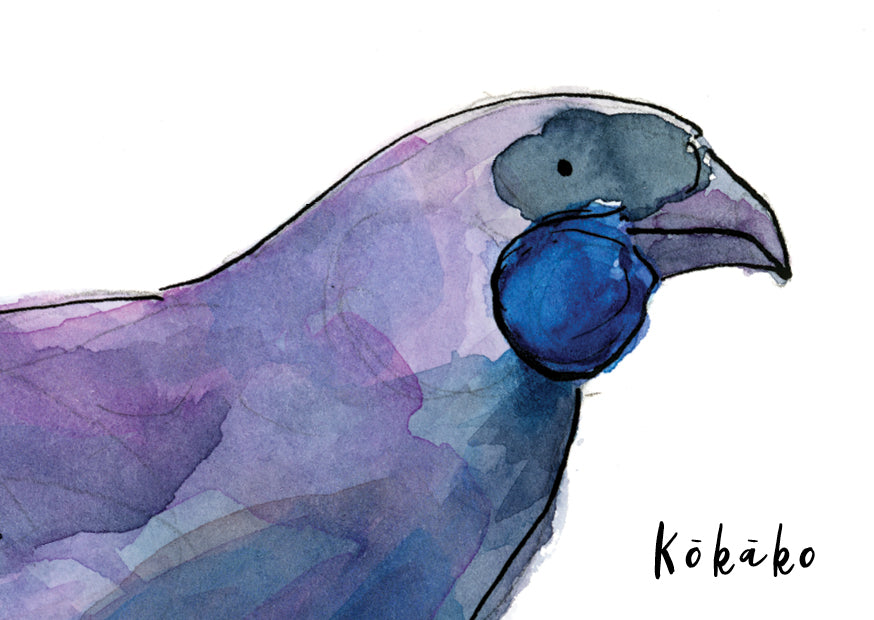 Kōkako - postcard