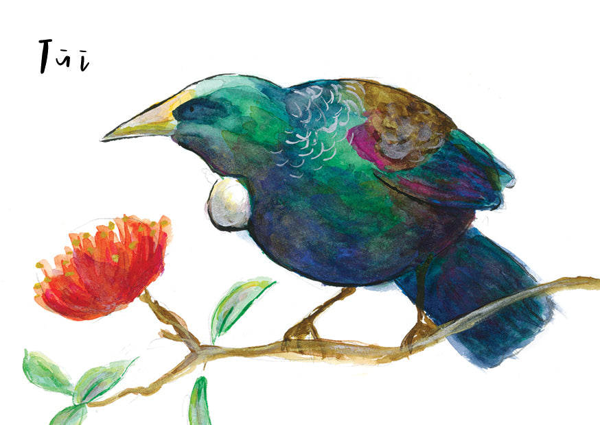 Tūī - postcard