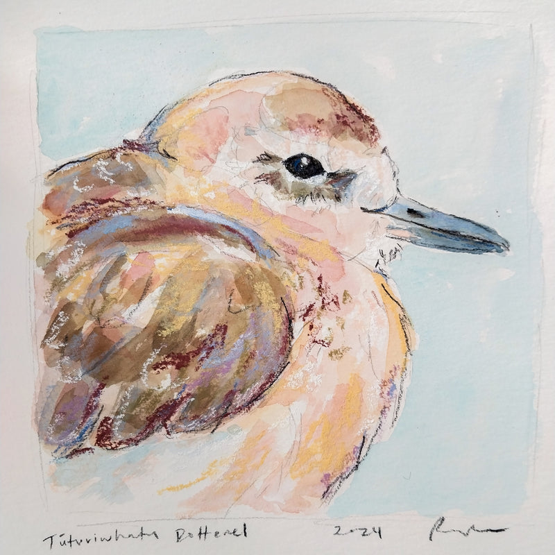 Dotterel // Original Painting