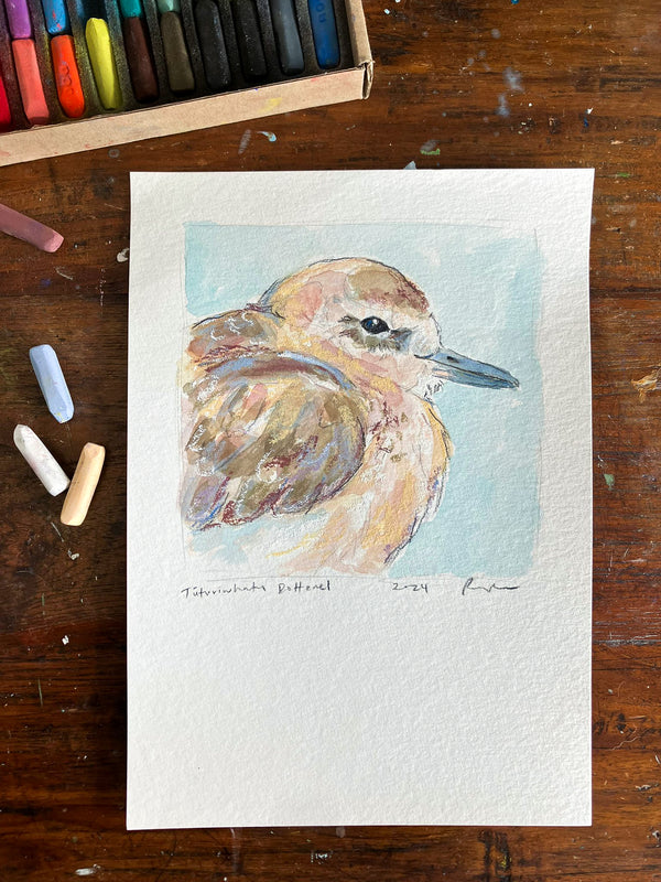 Dotterel // Original Painting