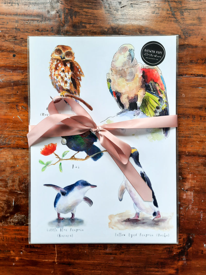 NZ Birds bundle