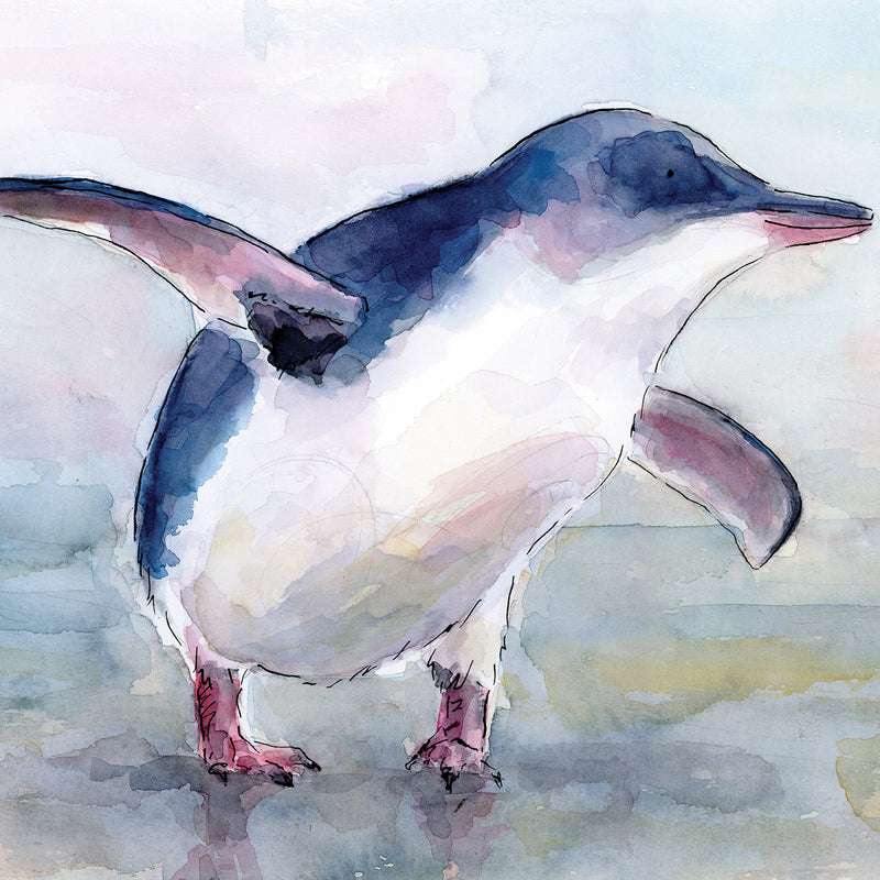 Little Blue Penguin (Kororā) - Raewyn Pope Illustration