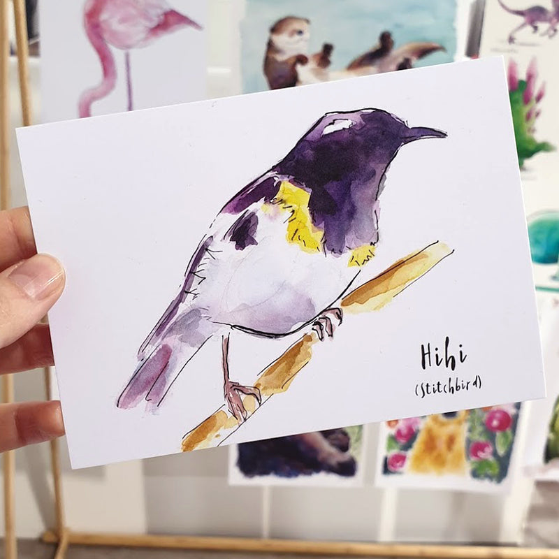 Hihi (Stitchbird) - postcard - Raewyn Pope Illustration