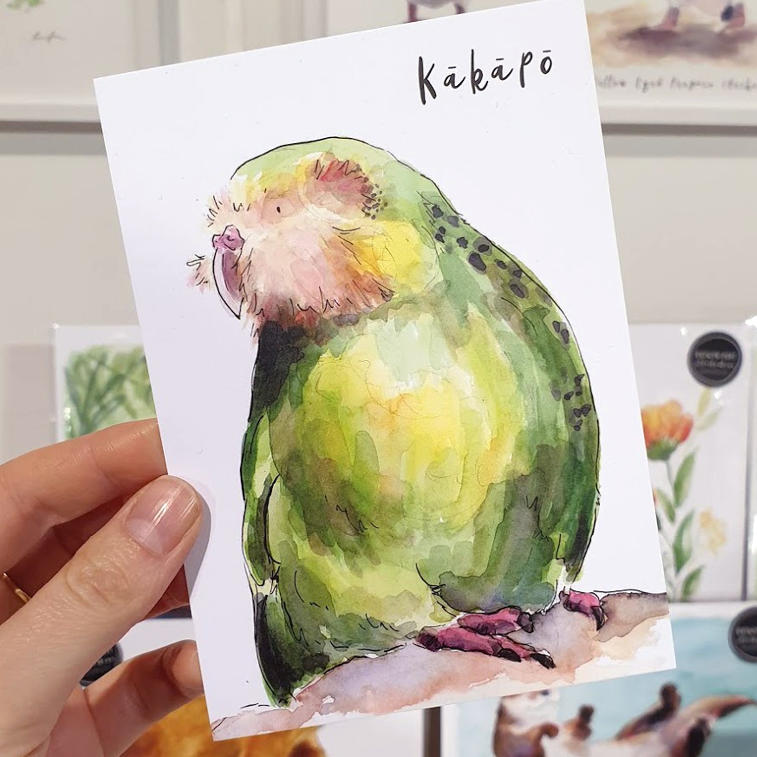 Kākāpō - postcard - Raewyn Pope Illustration