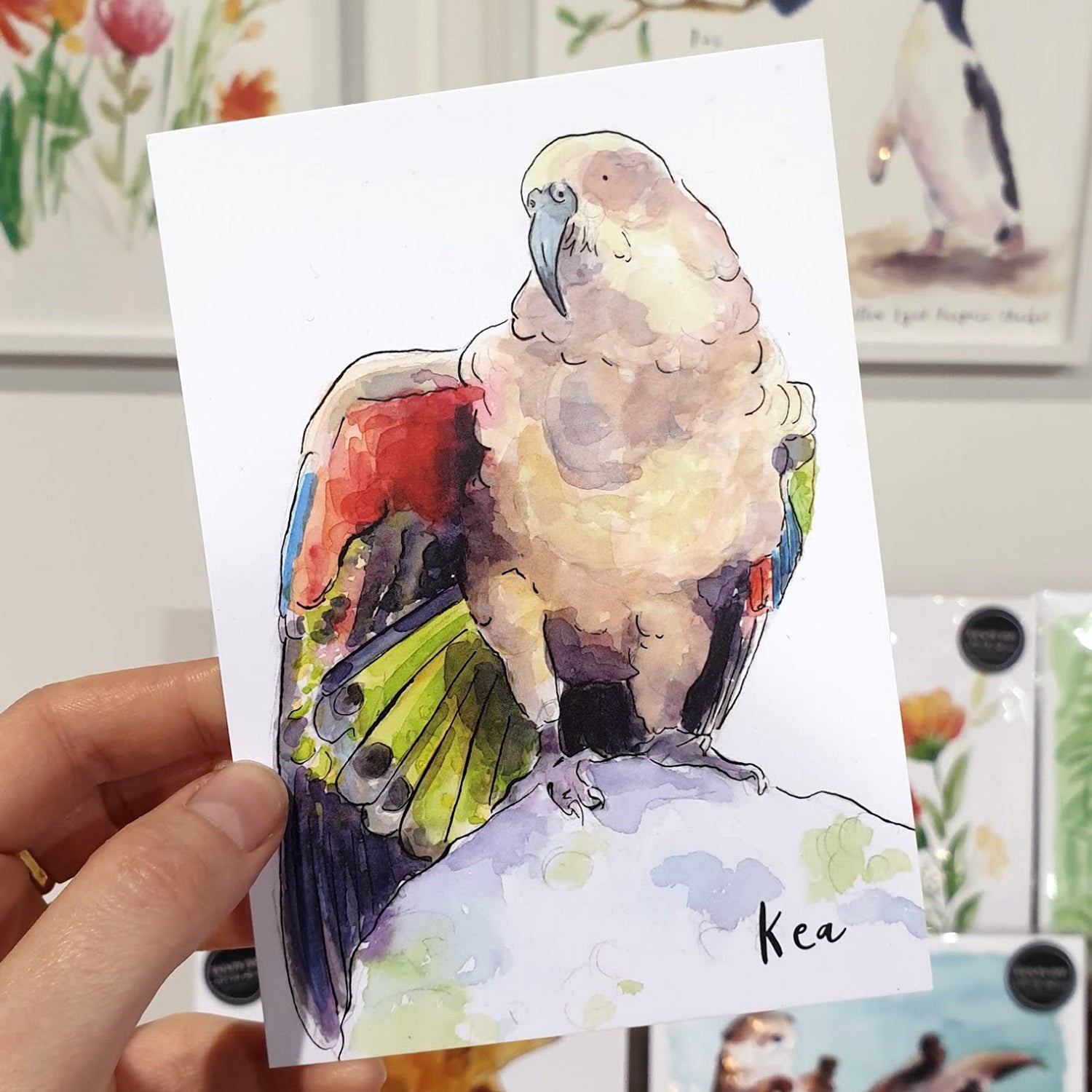 Kea - postcard - Raewyn Pope Illustration