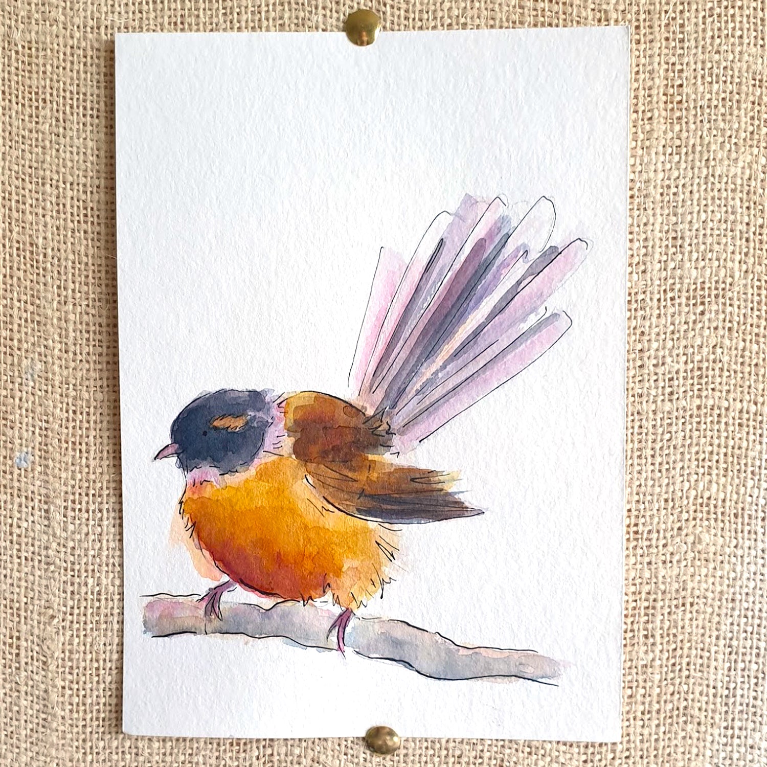 Fantail (Pīwakawaka) - original painting - Raewyn Pope Illustration