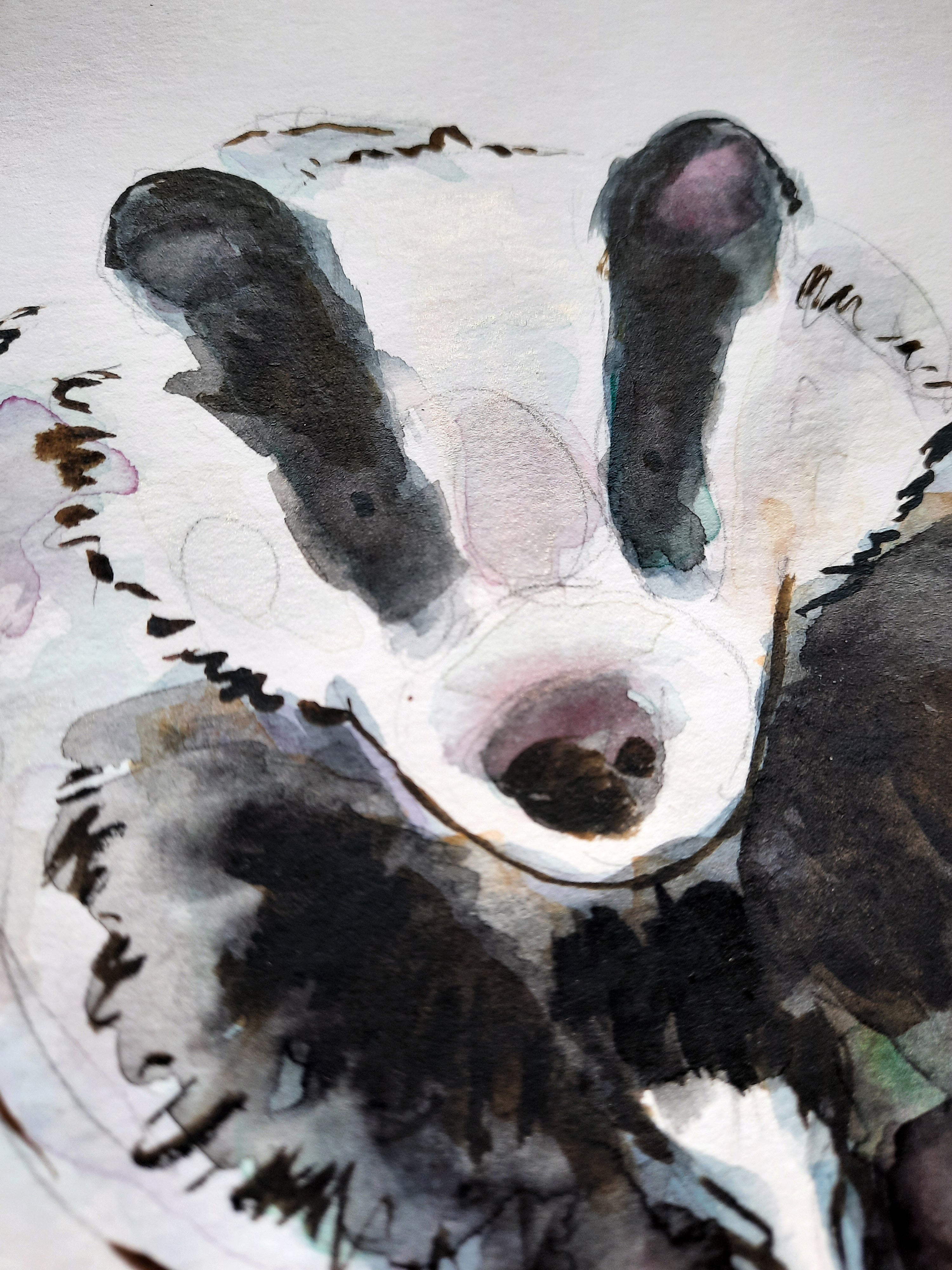 Badger Original Painting
