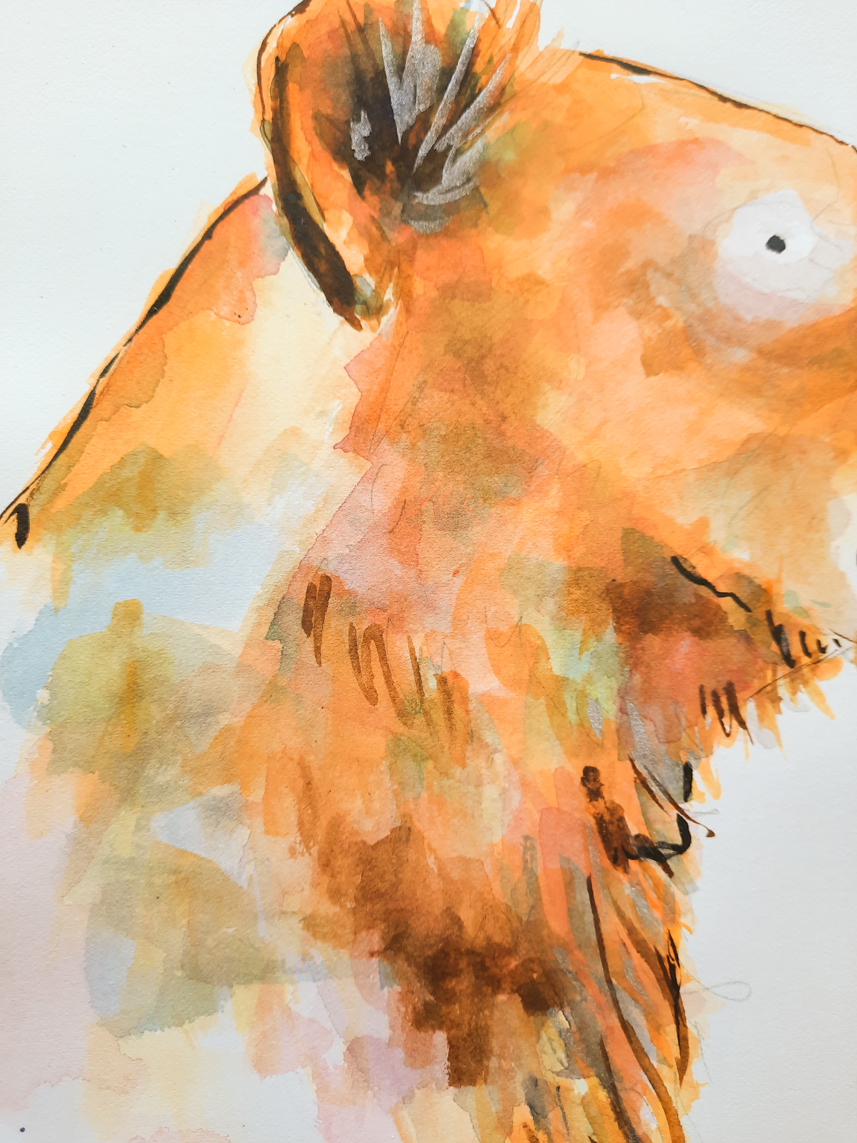 Lioness Original Painting