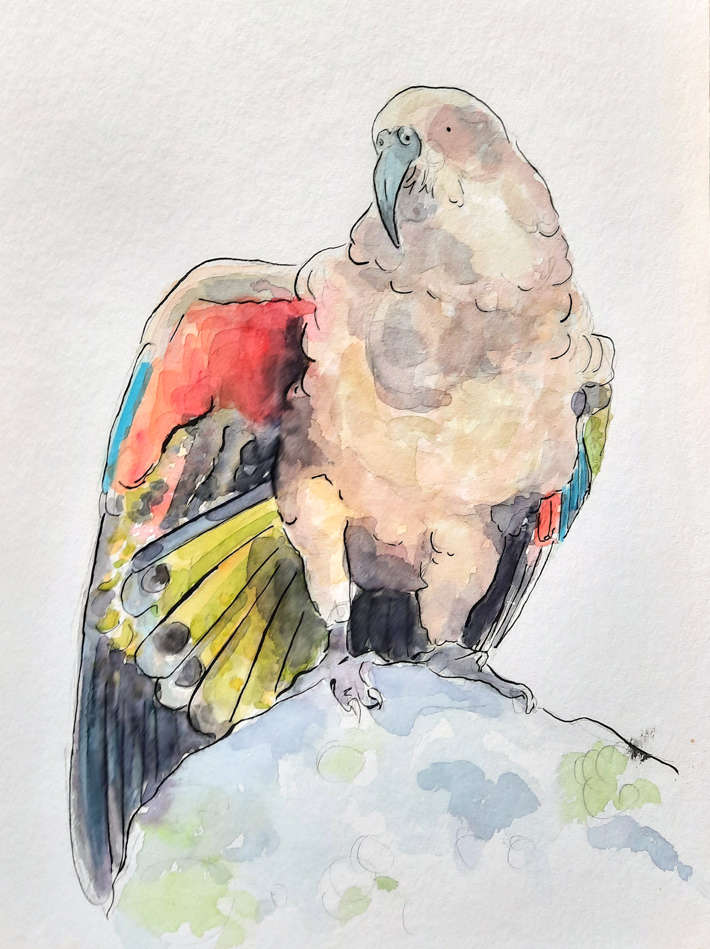 Kea Original Painting
