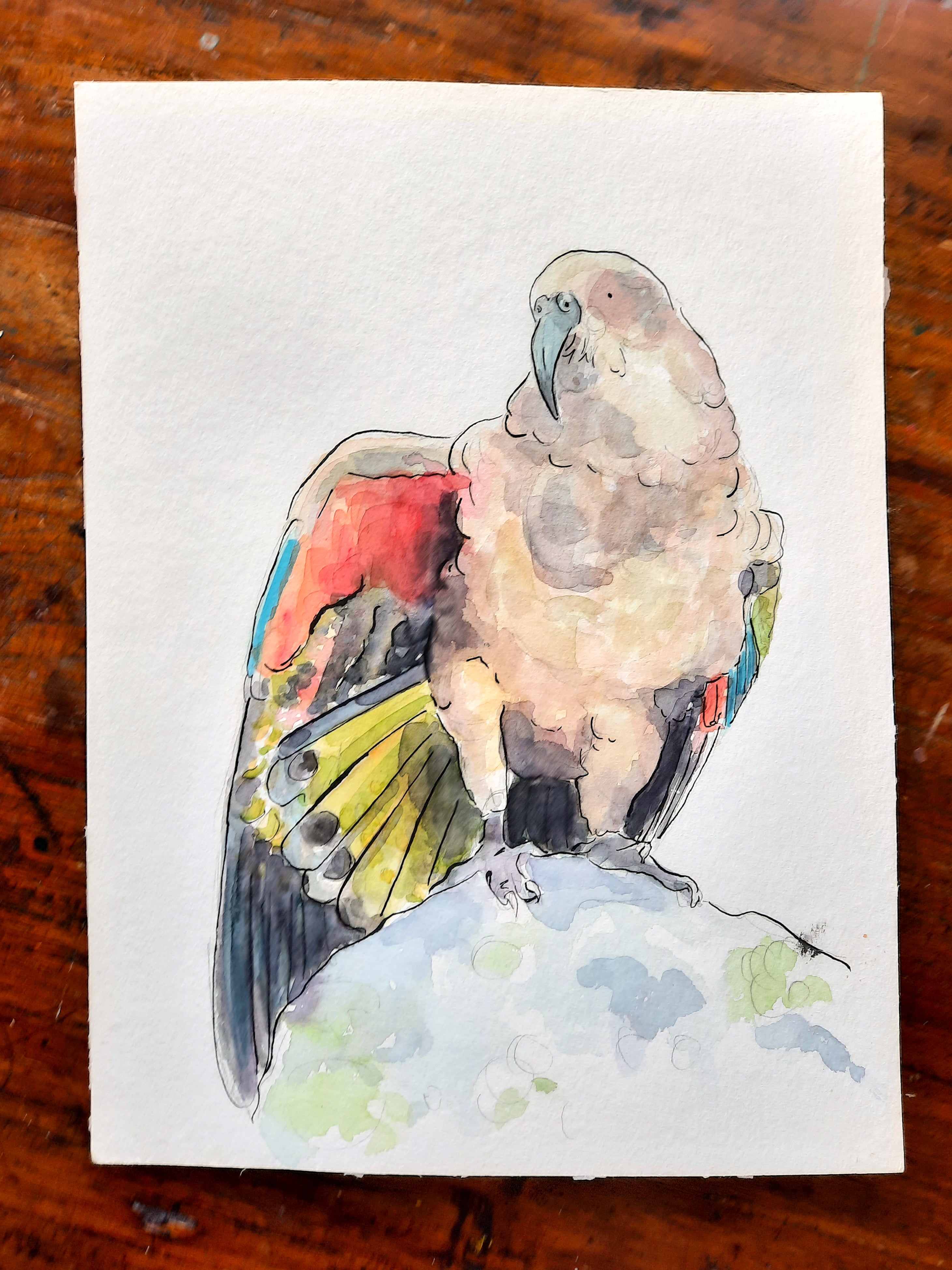 Kea Original Painting