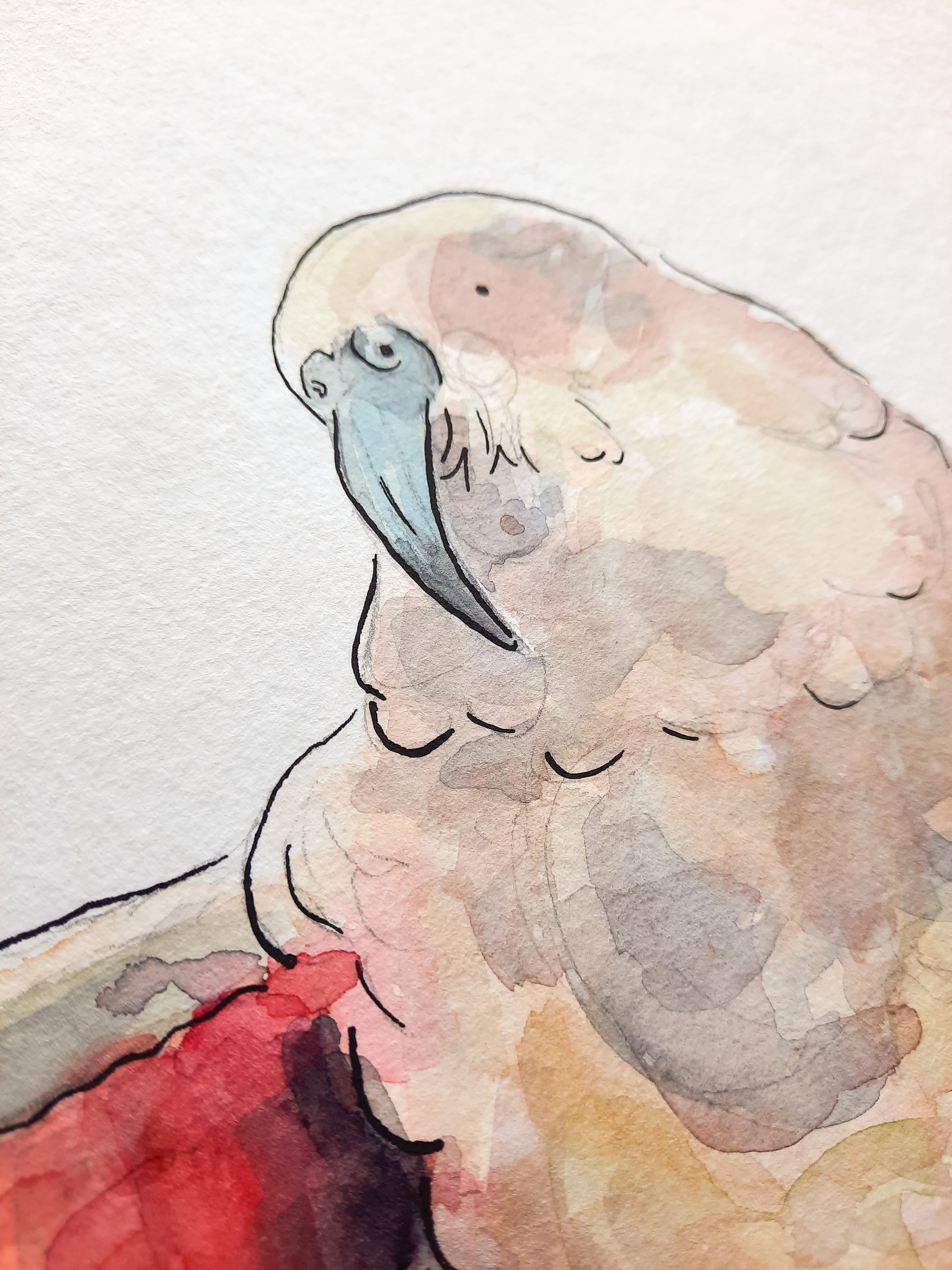 Kea Original Painting